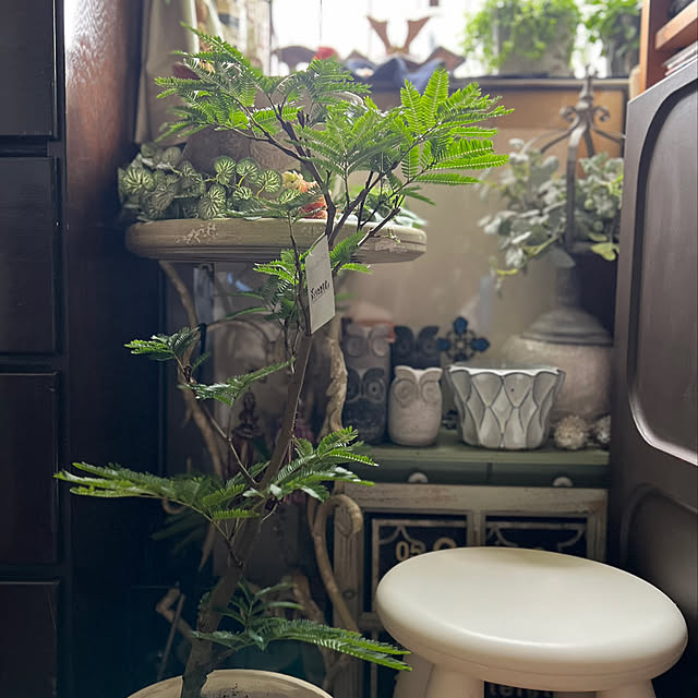 Kuniさんの部屋
