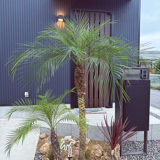 yama_zaluさんの実例写真