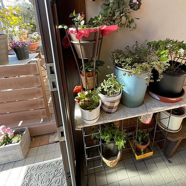 ronronさんの部屋