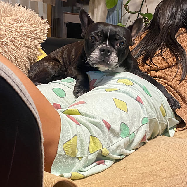 kotaroさんの部屋