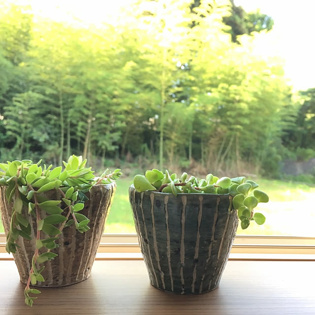 壁/天井/田舎暮らし/こどもと暮らす/スローライフ/多肉植物...などのインテリア実例 - 2017-09-18 16:48:24