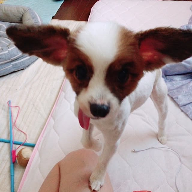 macokaさんの実例写真