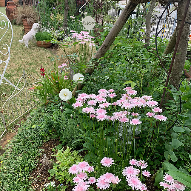 ponyoさんの部屋