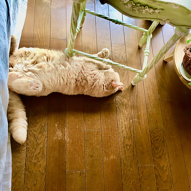 naokoさんの部屋