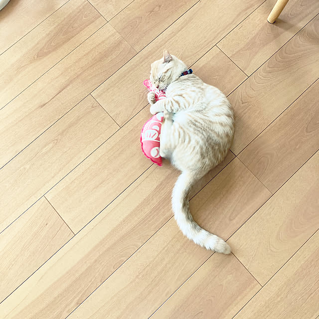 m.k.mさんの実例写真