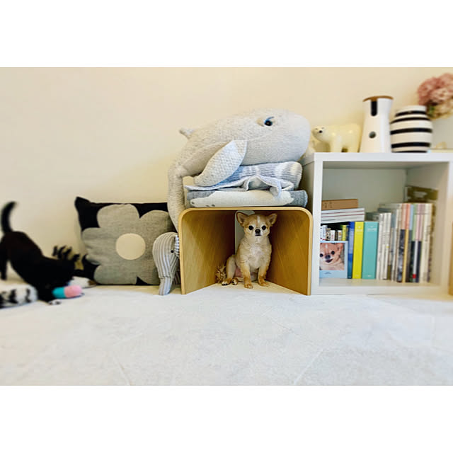 haruhinaさんの実例写真