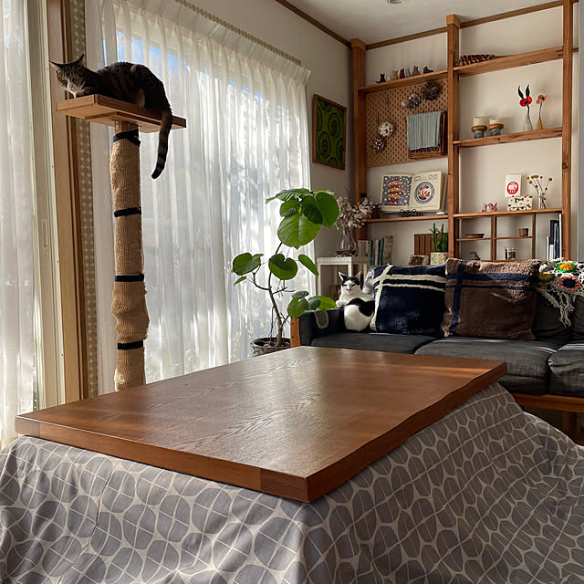 nobikoさんの部屋