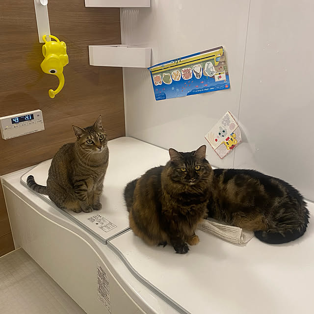 mikomaruさんの実例写真