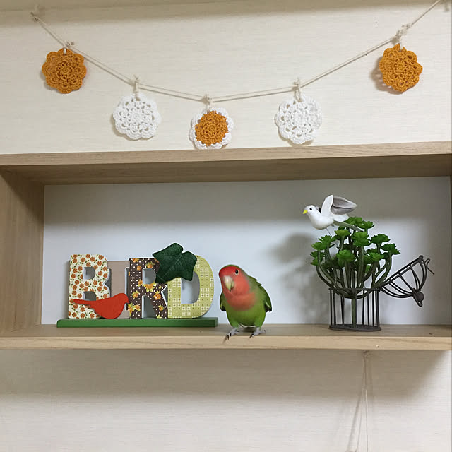 toratanさんの実例写真