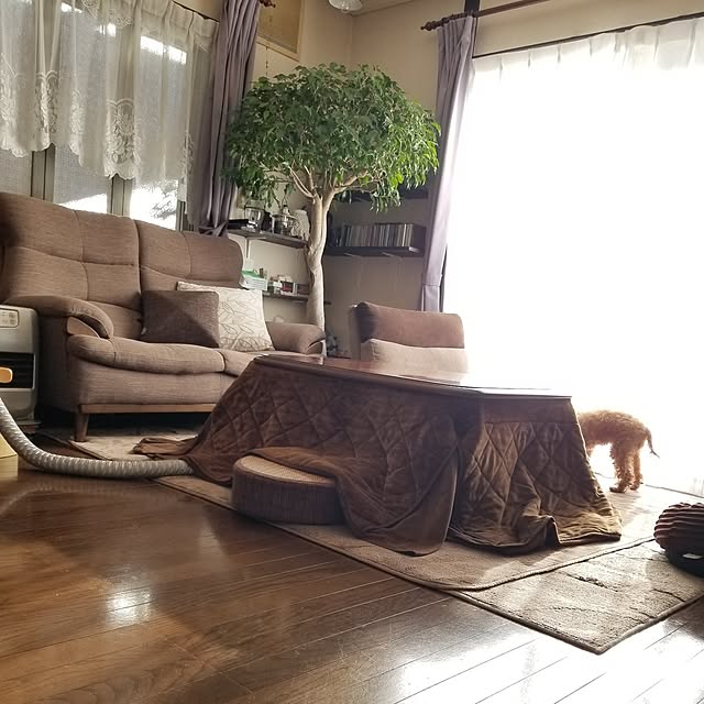 midoriさんの部屋