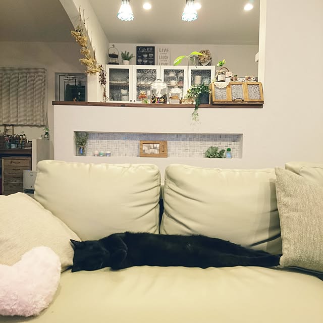hiroさんの実例写真