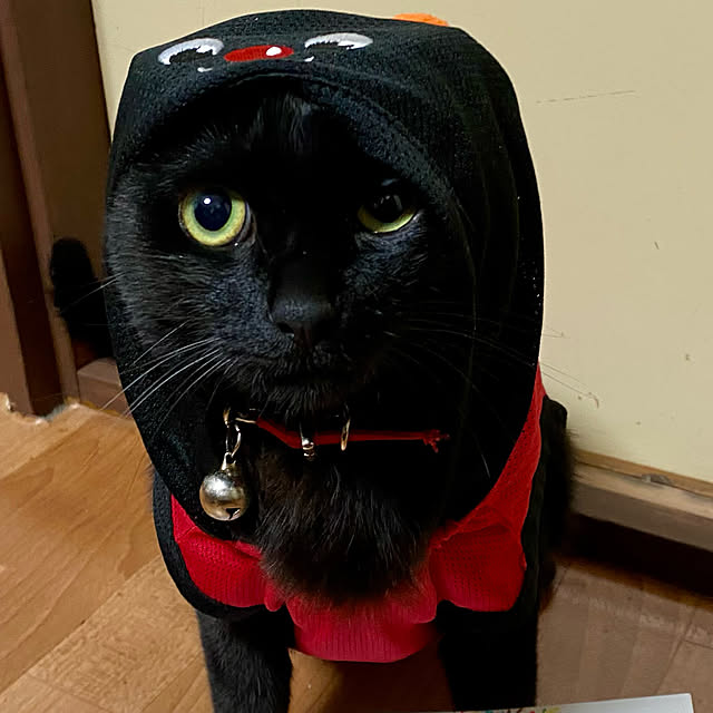 you-goさんの実例写真
