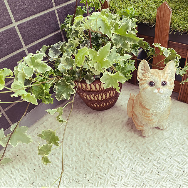 kareiさんの実例写真
