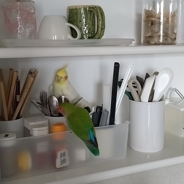toratanさんの実例写真