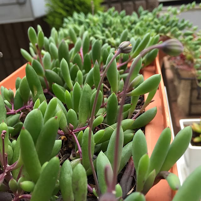 Junran50さんの実例写真