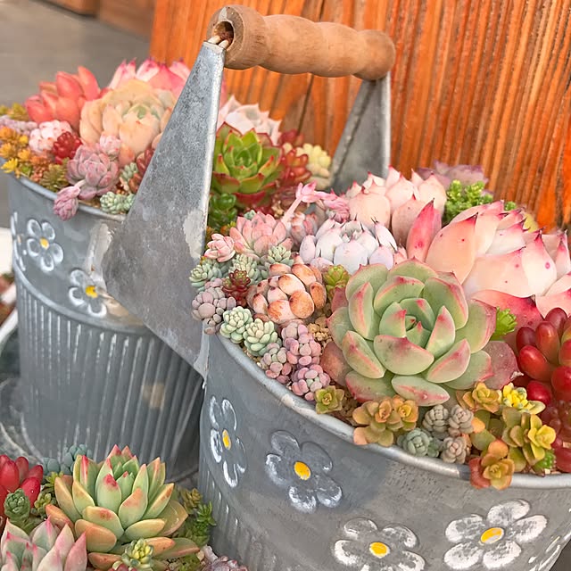 リメ缶 多肉植物寄せ植えのおしゃれなアレンジ・飾り方の