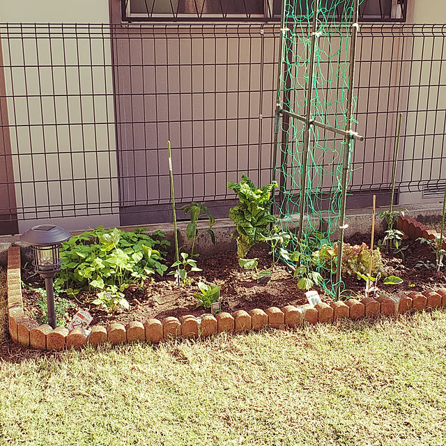 masaさんの実例写真