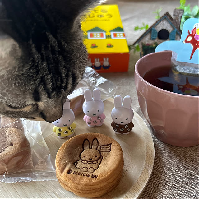 yumiさんの部屋