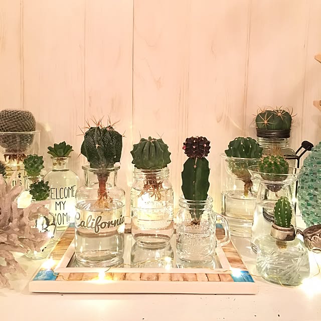 TiffanyTさんの実例写真