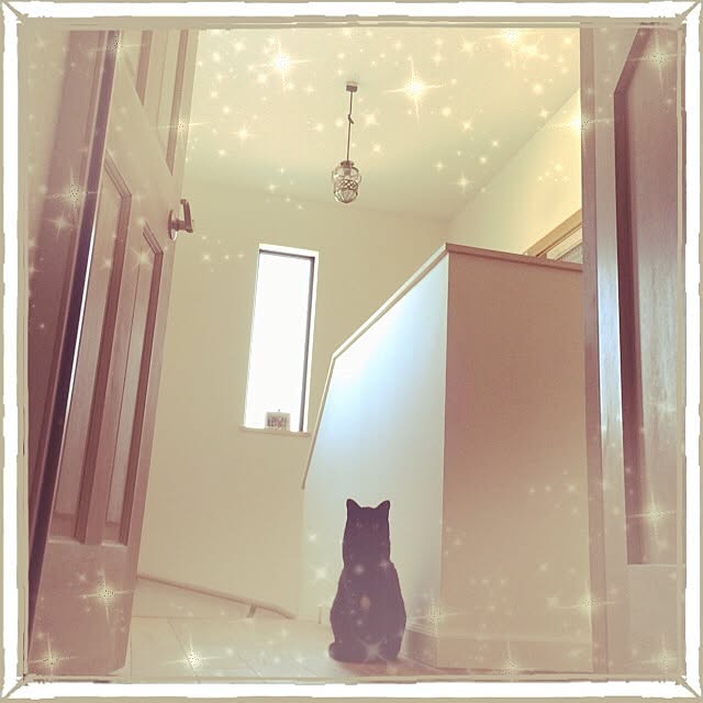 miyokoさんの実例写真