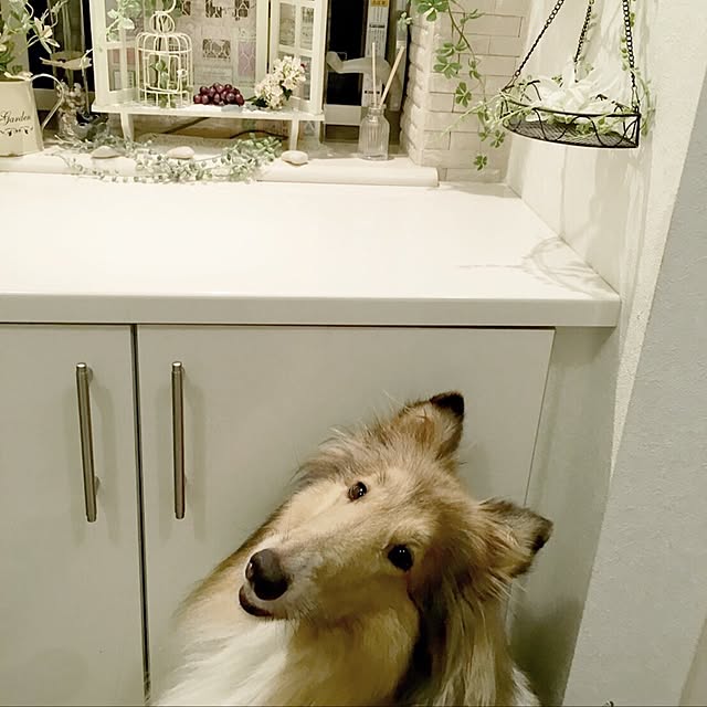 mimikikiさんの実例写真