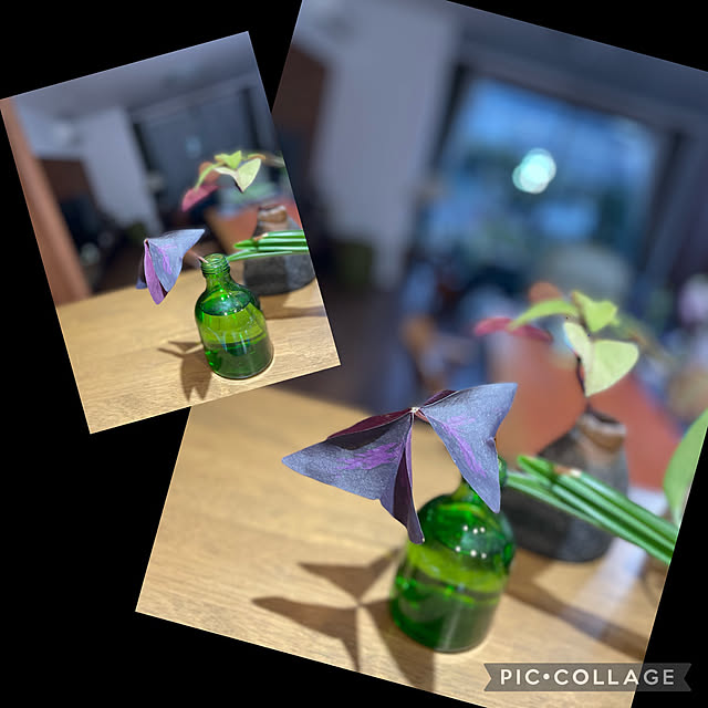 buchiさんの実例写真