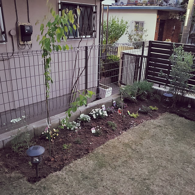 masaさんの実例写真