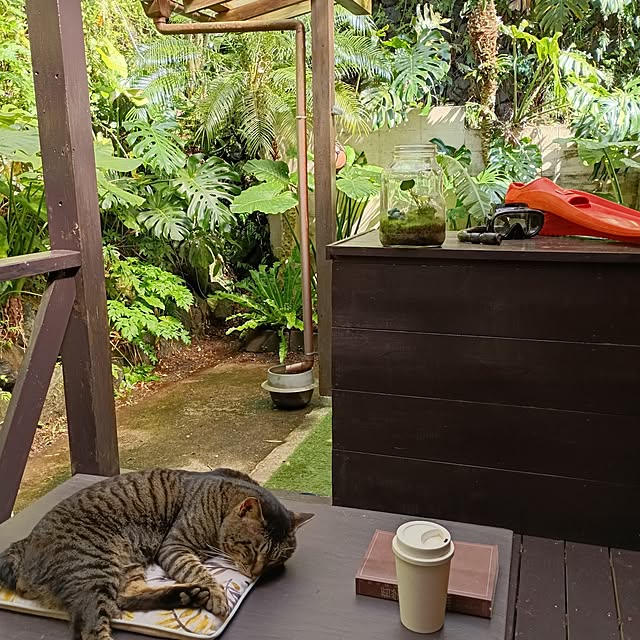 Nakaさんの実例写真