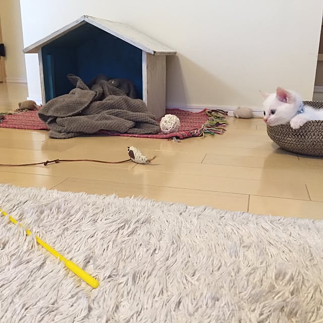 omo8さんの実例写真