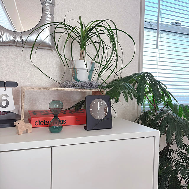 chiiさんの実例写真