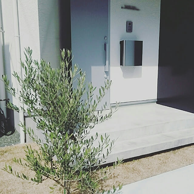 w.ayaさんの実例写真