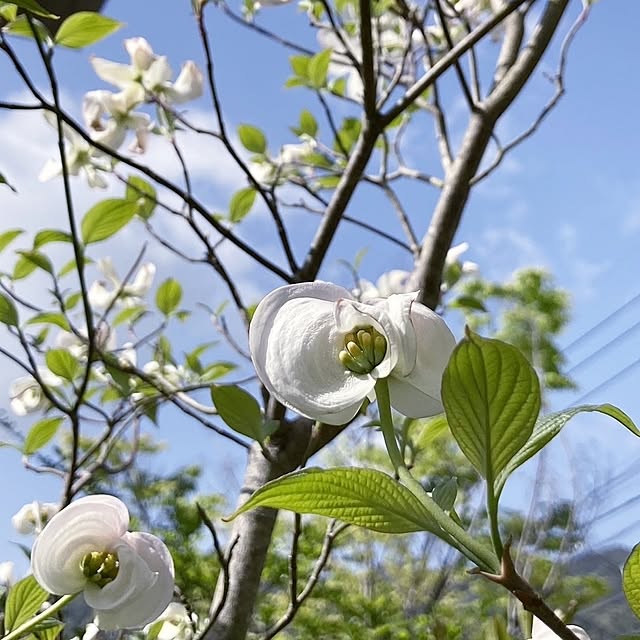 min_nimさんの実例写真