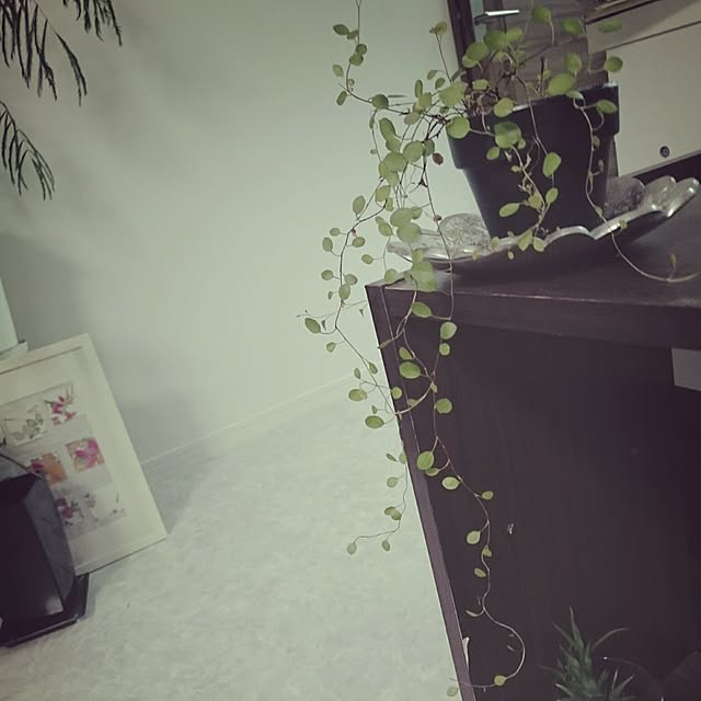 tomatoさんの実例写真
