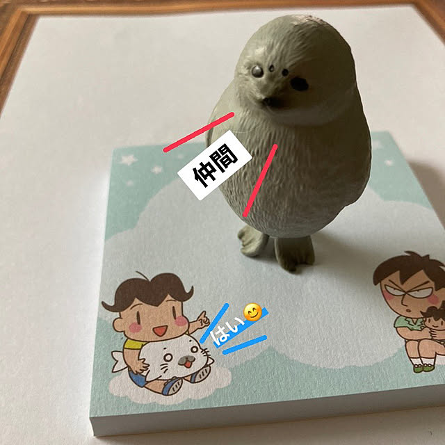 manduonmaさんの部屋