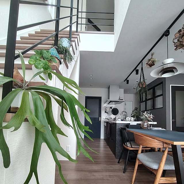 nahoさんの実例写真