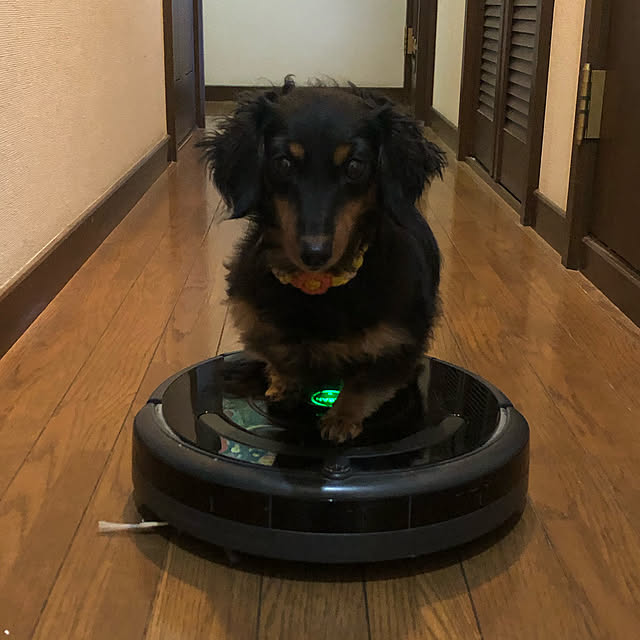 machiさんの実例写真