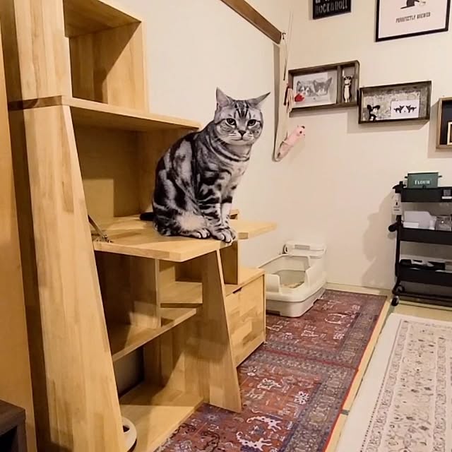 lovepeaceさんの実例写真