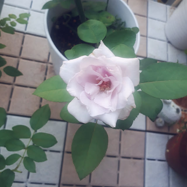 aiさんの実例写真