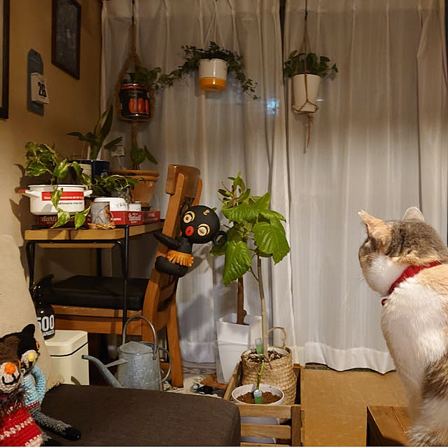 fukuさんの実例写真
