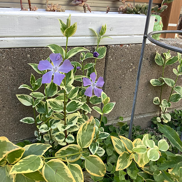 haruminさんの部屋