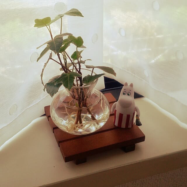 dotlaceさんの実例写真