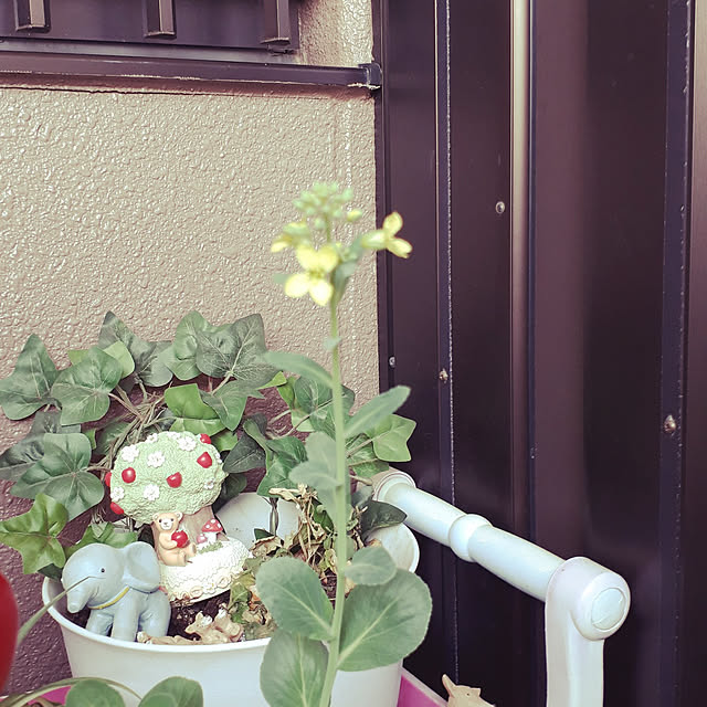 ANTENNAさんの実例写真