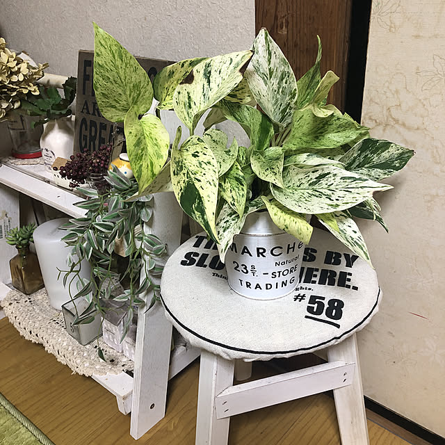 eikoさんの実例写真