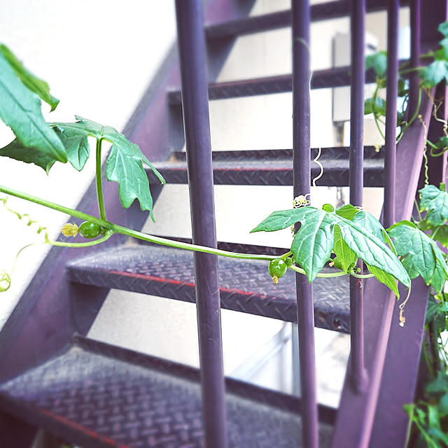 miho.okuさんの実例写真