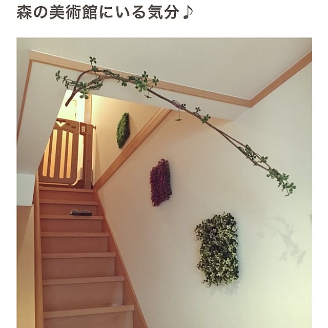 yuuさんの実例写真