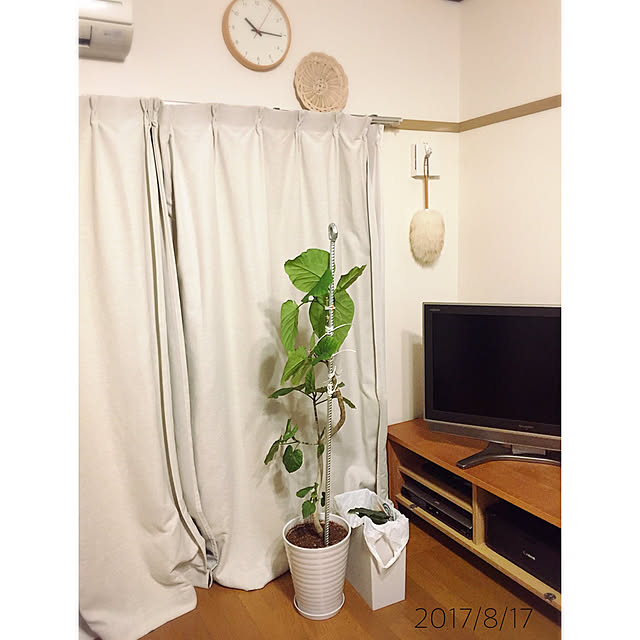 minnさんの実例写真
