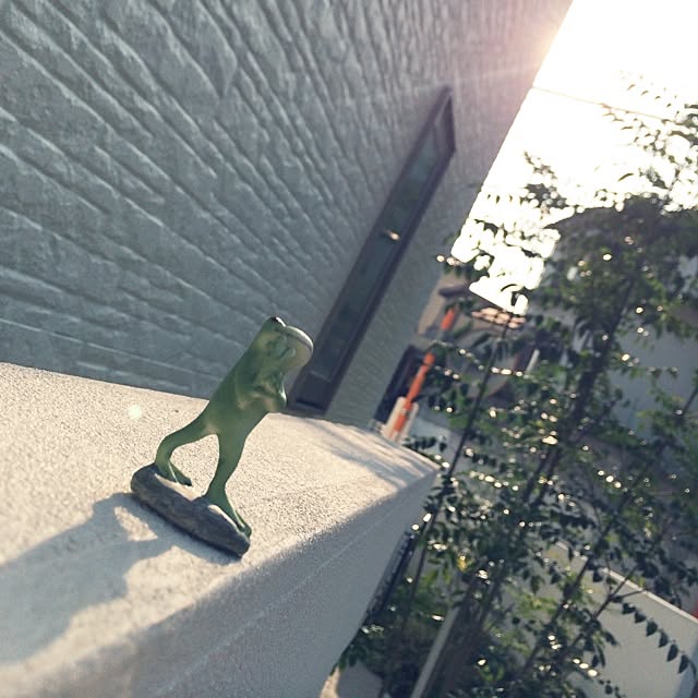 momoさんの実例写真