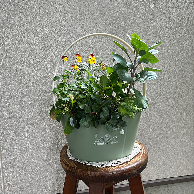 mozukuさんの実例写真