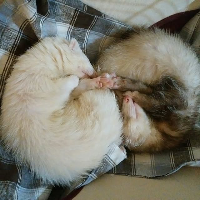 an89さんの実例写真