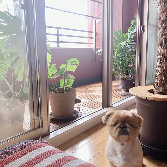 NUIさんの実例写真